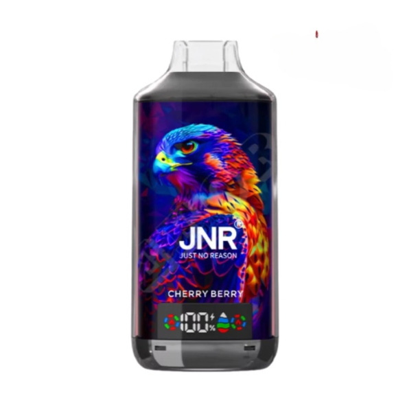 JNR Falcon X 18000 Puffs Wegwerp Vape (Doos van 10)