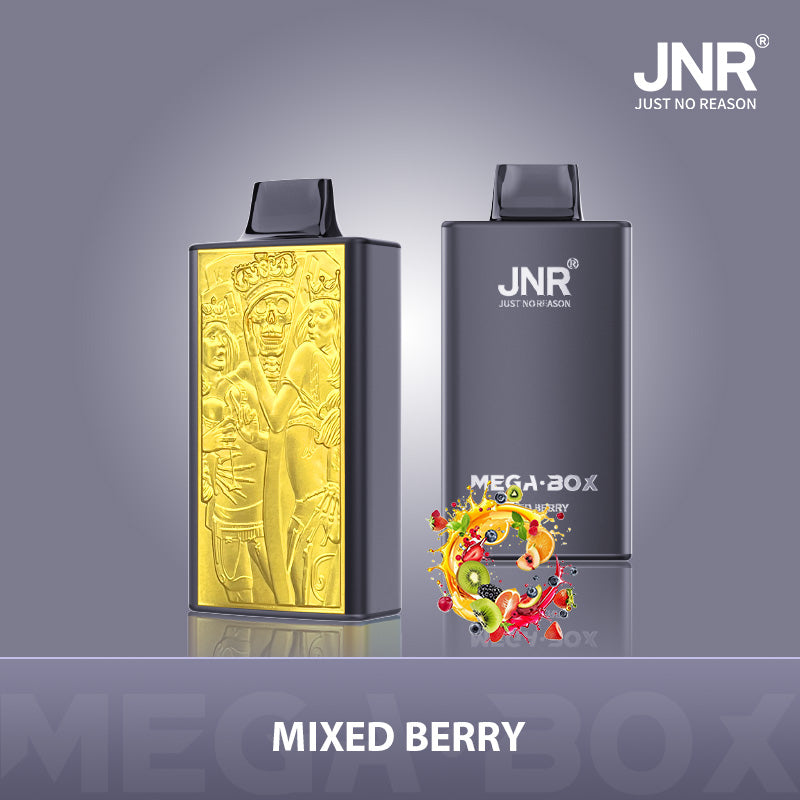 JNR Mega Box 25000 Puffs Wegwerp Vape (Doos van 10)