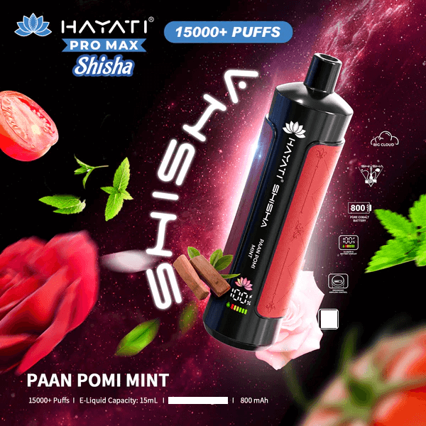 Hayati Shisha 15000 Puffs Wegwerp Vape