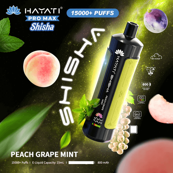 Hayati Shisha 15000 Puffs Wegwerp Vape