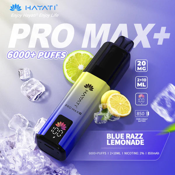 Hayat Pro Max+ 6000 Puffs Disposable Vape (Box of 10)