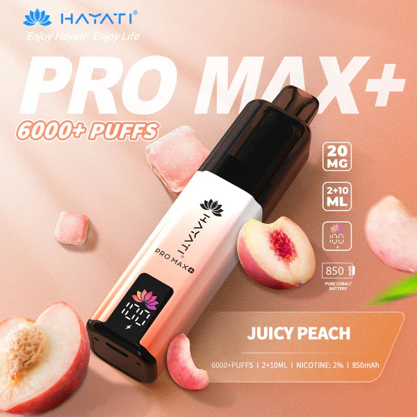 Hayat Pro Max+ 6000 Puffs Disposable Vape (Box of 10)