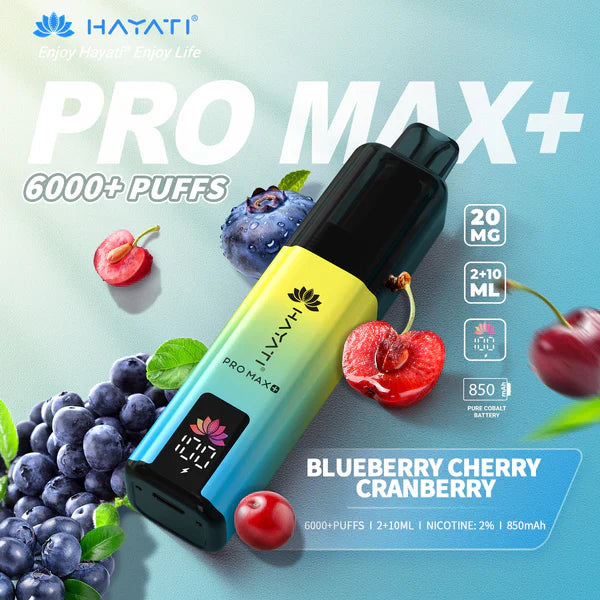 Hayat Pro Max+ 6000 Puffs Disposable Vape (Box of 10)