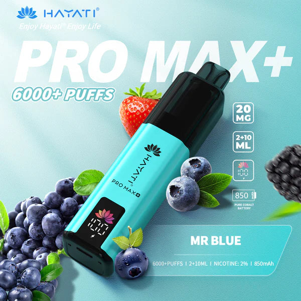 Hayat Pro Max+ 6000 Puffs Disposable Vape (Box of 10)